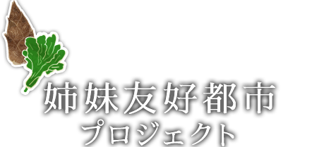姉妹友好都市プロジェクト